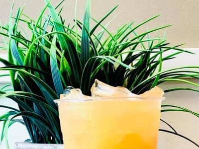 Trouvaille Nutrition