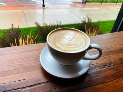 True Coffee Roasters - Cafe