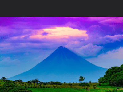 True Mountain Coffee