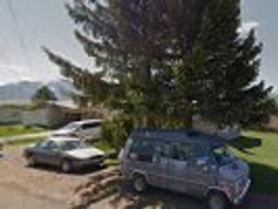 True Mountain Coffee