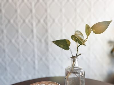 Tucknee Coffee Company