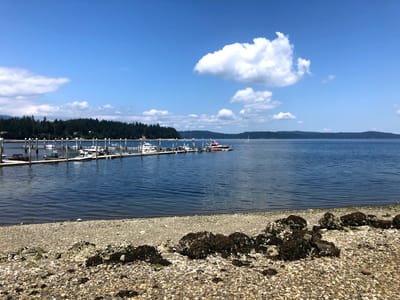 Turies Seabeck Espresso