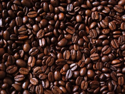 Tusk & Cup Fine Coffee