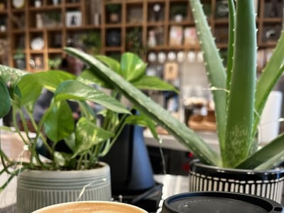 Twelve Twenty Coffee