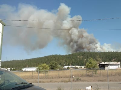 Uccello's Spokane's Coffee