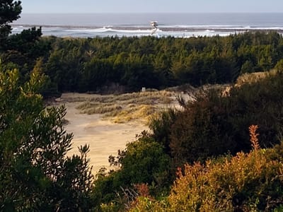 Umpqua River Lighthouse Museum Giftshop and Coastal Visitors Center