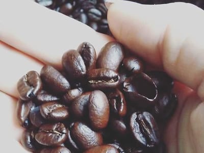 Uncharted Coffee Co.