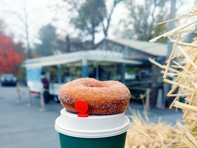 Uncommon Grounds Coffee & Bagels