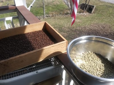 Under the Oak Tree Coffee Roasters