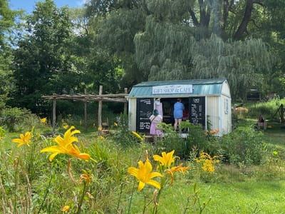 Valle Crucis Lavender House