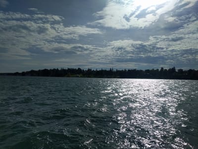 Vermont Green Mountain Specialty Co