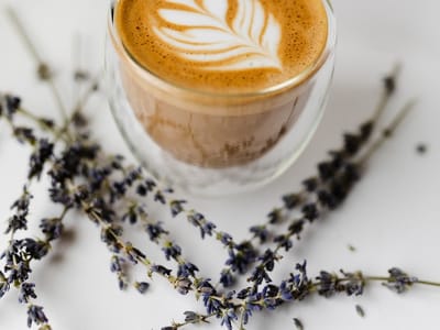 Vested Beacon Hill Coffee