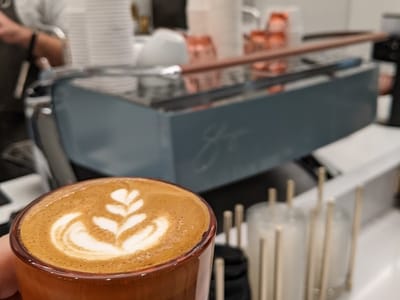 Vice City Bean Brickell