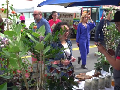 Vice City Bean Citadel