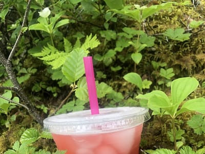 Village Coffee Company