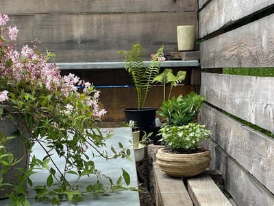 Village Grocery and Refillery