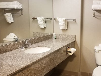 Virgin River Hotel and Casino