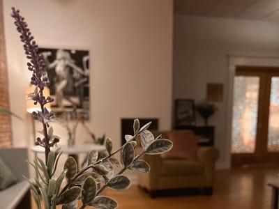 Vishwa Shanti Cafe - MIU