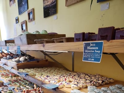 Vital Living Herbs & Nutrition