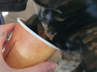 Viva Drive Thru Espresso