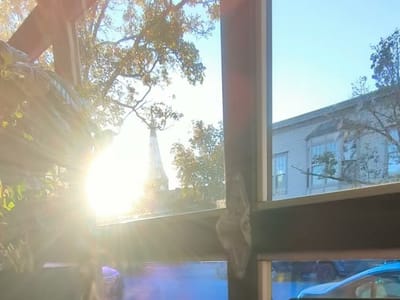 Vivid Coffee Roasters