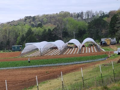 Wade Lucas Farms