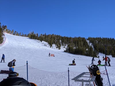 Waffle Cabin @ Looking Glass / Olympia