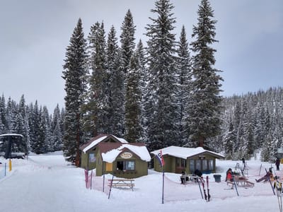 Waffle Cabin @ Looking Glass / Olympia