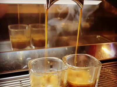 Wandering Bison Coffee