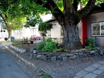 Wandering Goat Coffee Co.