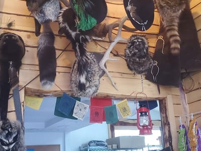 Ward Mountain Exchange