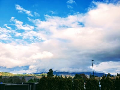 Washboard Eco Laundry