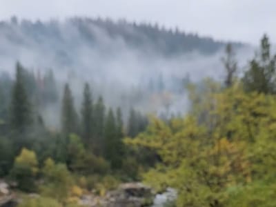 Washington Hotel: Cafe