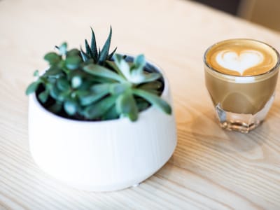 Wave3 Coffee and Chocolate