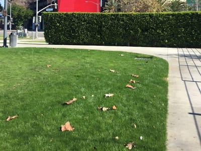 West Hollywood Travel + Tourism Board