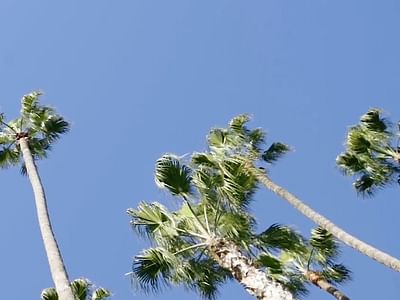 West Hollywood Travel + Tourism Board