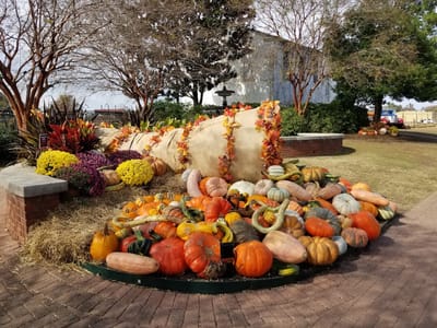 West Main Coffeehouse and Creamery