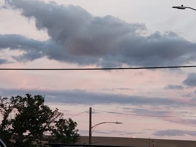 Wheat Lind Coffee Bar