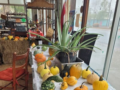 Where The Sidewalk Ends