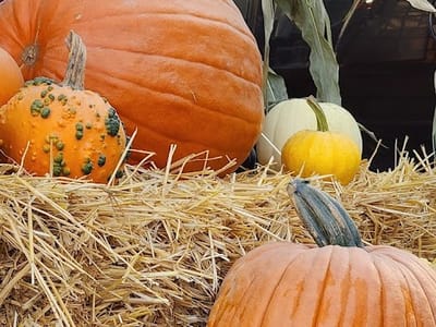 Where To Get Espresso