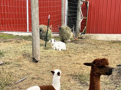 Whispering Orchards and Cafe