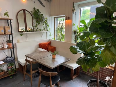 White Moon Cafe & Dark Moon Cocktail Bar