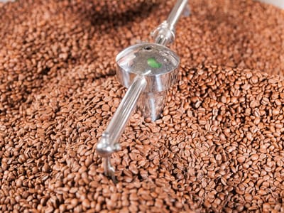 White Pine Coffee Roasters