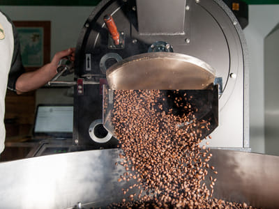 White Pine Coffee Roasters