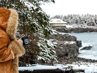 Wicked Joe Organic Coffees