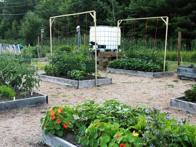 Wicked Joe Organic Coffees