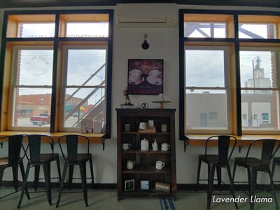 Wild Blue Coffee Co.