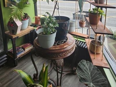 WILD ROOTS coffeehouse