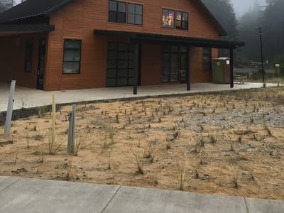 Wilder Corner Building