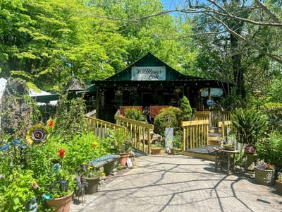 Wildflower Cafe